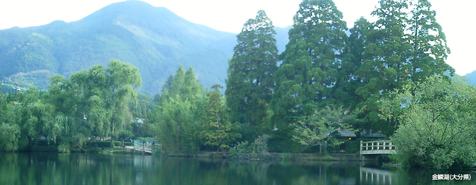 金鱗湖